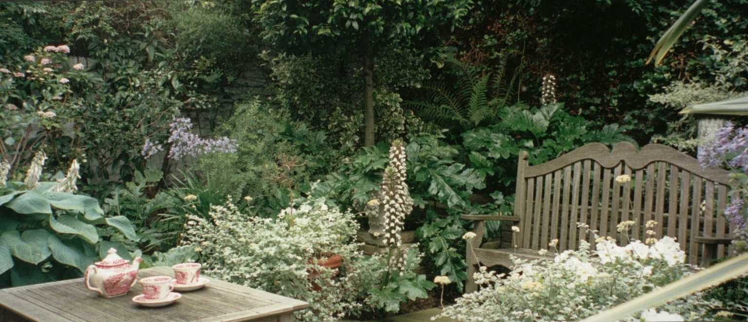 gardenpanoramiccropped